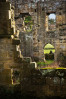 © Margaret Smith  <em>Windoes at Jervaux</em>