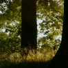 © Yvonne Fairclough  <em>7am one morning in August</em>