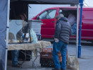 © Sue Best  <em>Cash in Hand</em>