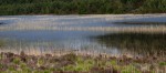 © Rod Smith  <em>Loch an Eilein</em>