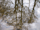 © Sue Haddrill  <em>Reflection Ripples</em>