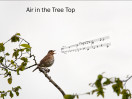 © Rod Smith  <em>Air in the Tree Top</em>