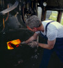© John Cooper-Smith  <em>firing a Princess</em>