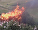 © Jeanette Davidson  <em>burning wool</em>