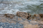 © Graham Wood  <em>Lapping Water</em>