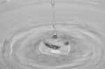 © Peter Robinson  <em>Drop in water</em>