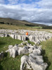 © Gill Pinkerton  <em>Space for a Space Hopper</em>