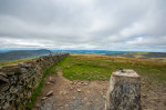 © Nick Burton  <em>Plenty of space up here!</em>