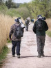 © Sue Haddrill  <em>The Pro's!</em>