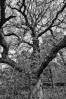 © Paul Higgins  <em>Welcome</em>