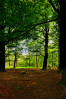 © Paul Higgins  <em>Glade</em>