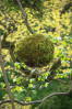 © Tim Fearon  <em>Mystery object</em>