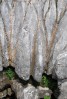 © Gill Pinkerton  <em>Limestone</em>