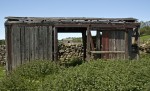 © Christine Flitcroft  <em>Nidderdale</em>