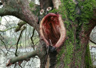 © Elaine Ward  <em>1 Help</em>