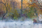 © Graham Wood  <em>Into The Mist</em>