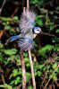 © Paul Higgins  <em>Take Off</em>