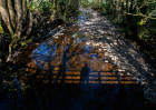 © Rod Smith  <em>Quiet Contemplation A3 square</em>
