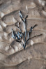 © Tim Fearon  <em>Ripples and Weed</em>
