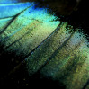 © Yvonne Fairclough  <em>On the wing</em>