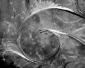 © Yvonne Fairclough  <em>Then came a puff of wind [R]</em>