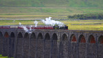 © Chris Chandler  <em>PaulCC</em>
