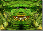 © Elaine Ward  <em>Woodhead</em>