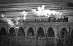 © Graham Wood  <em>Paul</em>