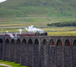 © Nick Burton  <em>Paul (Amended)</em>