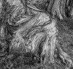 © Nick Burton  <em>Graham (Amended)</em>