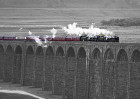 © Paul Higgins  <em>Double Header</em>