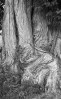 © Tim Fearon  <em>Graham's by Tim</em>