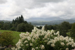 © Elaine Ward  <em>hydrangea with view</em>