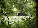 © Gill Pinkerton  <em>Neglected Boathouse</em>