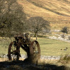 © Harry Pinkerton  <em>Old plough put out to grass</em>