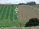 © Mike Mellers  <em>fields north of Filey</em>