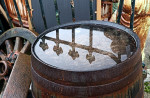 © Elaine Ward  <em>Barrel</em>