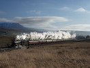 © Sue Best  <em>Steam at Selside</em>