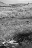 © Tim Fearon  <em>Blea Moor</em>