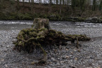 © Andy Best  <em>Washed Up</em>