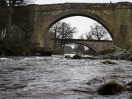 © Harry Pinkerton  <em>Three Bridges</em>