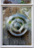 © Paul Higgins  <em>Bulls Eye</em>