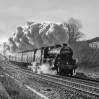 © Rod Smith  <em>The Iron Horse</em>