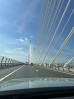 © Gill Pinkerton  <em>The Forth Road Bridge</em>