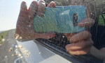 © Jill Franklin  <em>At speed</em>