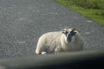 © Margaret Smith  <em>What?!</em>