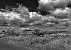 © Paul Higgins  <em>Nearing Home</em>