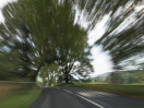 © Sue Best  <em>Motion Blur</em>