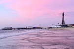 © Chris Chandler  <em>Pinkpool</em>