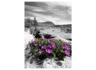© David Crutchley  <em>Bloody Cranesbill</em>